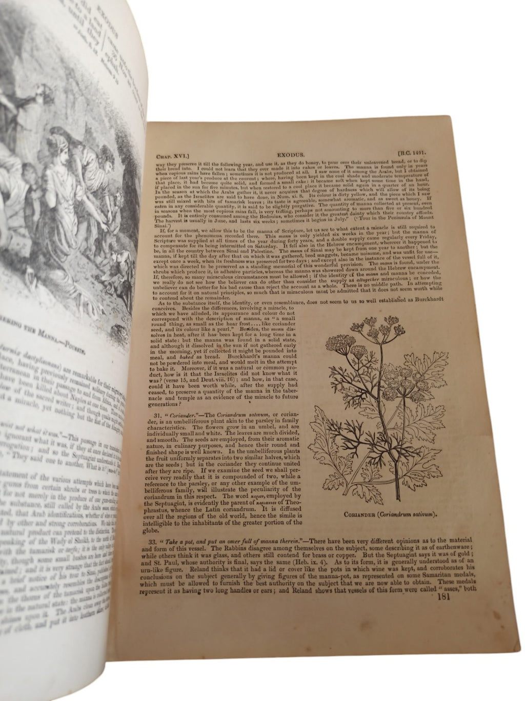 The Pictorial Bible 1836 – Lot 3 Tomes – Ancienne édition anglaise rare