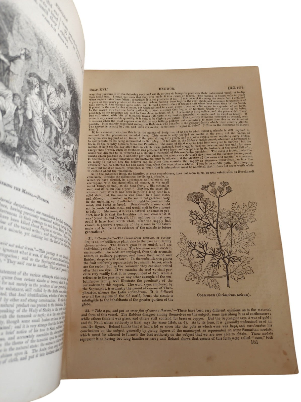 The Pictorial Bible 1836 – Lot 3 Tomes – Ancienne édition anglaise rare