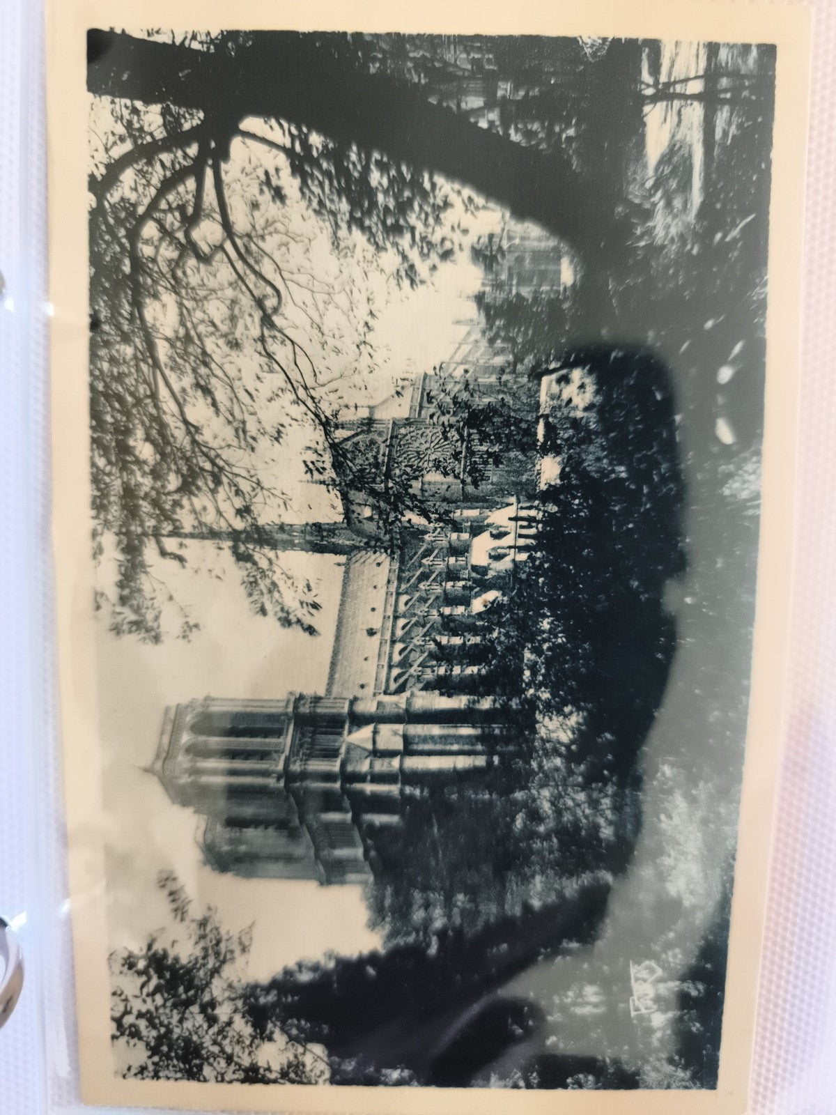 CPA Notre-Dame de Paris cathédrale vue extérieure arbres