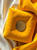 Médaille vintage Cézanne Aix-en-Provence 1994, commémorative, aspect bronze