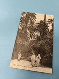 Ancienne carte postale animée Alger Jardin d?Essai LL vintage noir et blanc