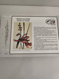 Feuillet CEF 1982 Orchis Palustris Orchidée des Marais timbre botanique