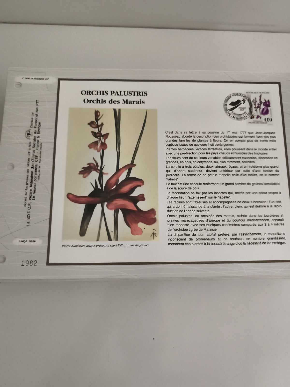 Feuillet CEF 1982 Orchis Palustris Orchidée des Marais timbre botanique