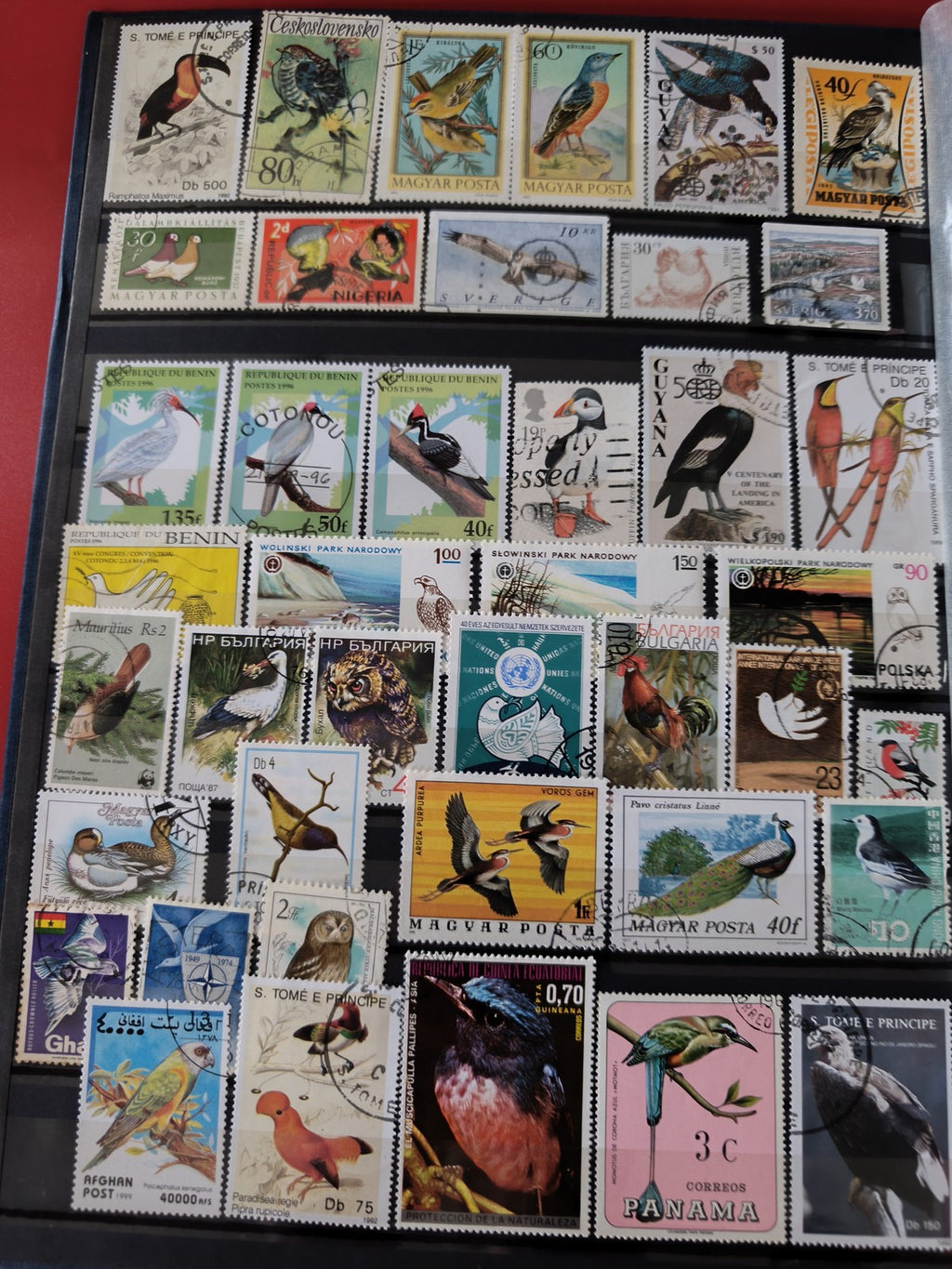 Classeur ancien de timbres oiseaux du monde, collection thématique, multicolore