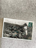 CPA Graine de choux carte postale illustrée humour bébé timbre France