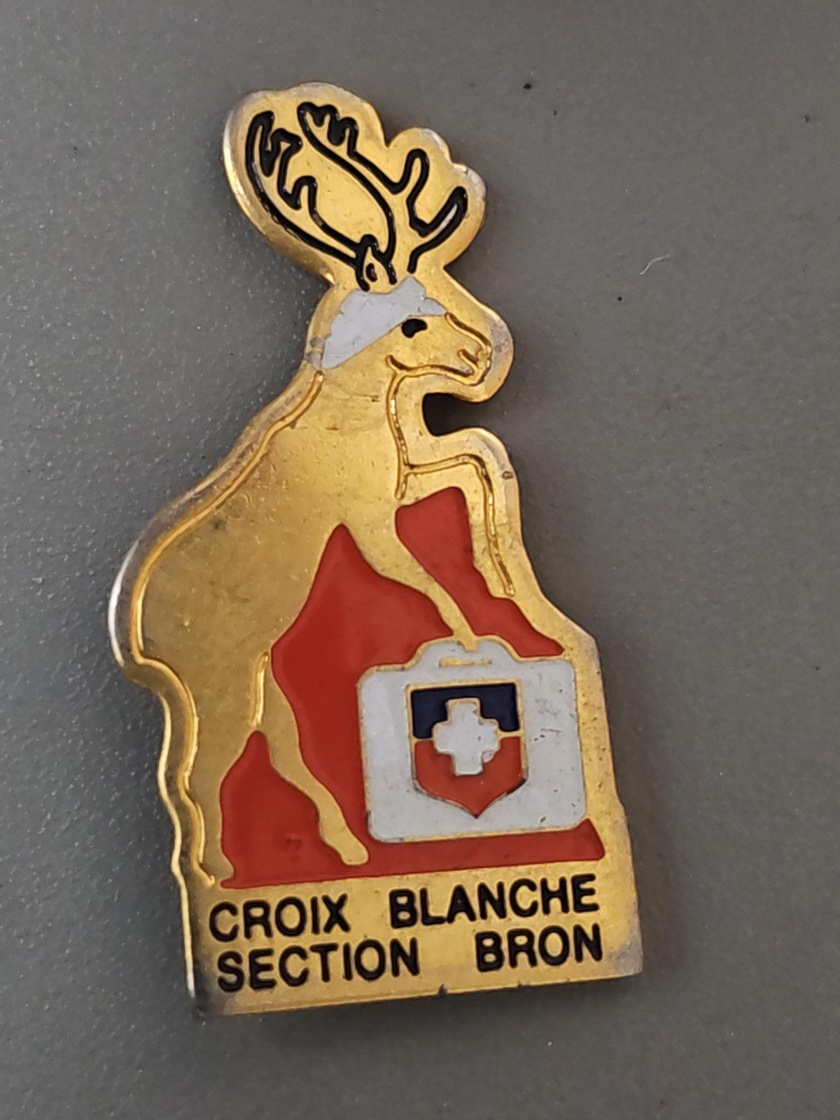 Pin's ancien Croix Blanche section bron rétro badge collection vintage France