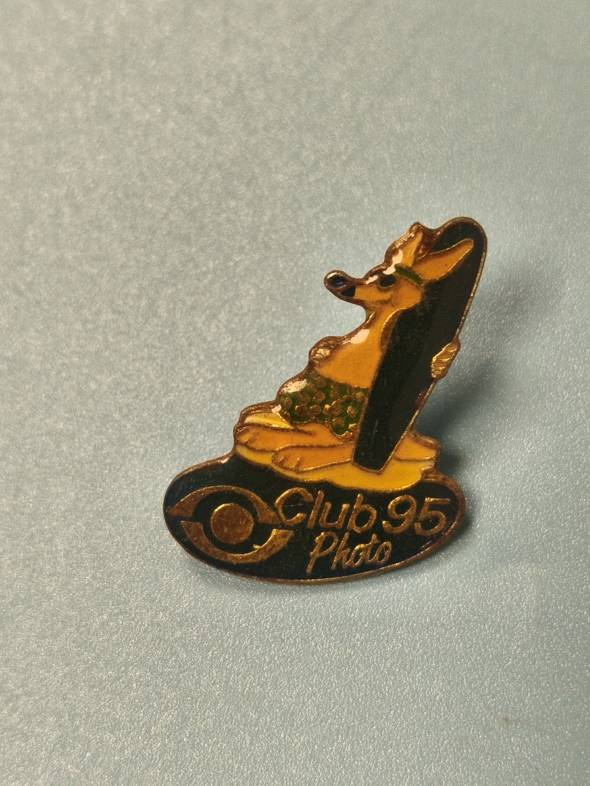 Vintage pin's Club 95 Photo chien sur planche, badge collection ref 10