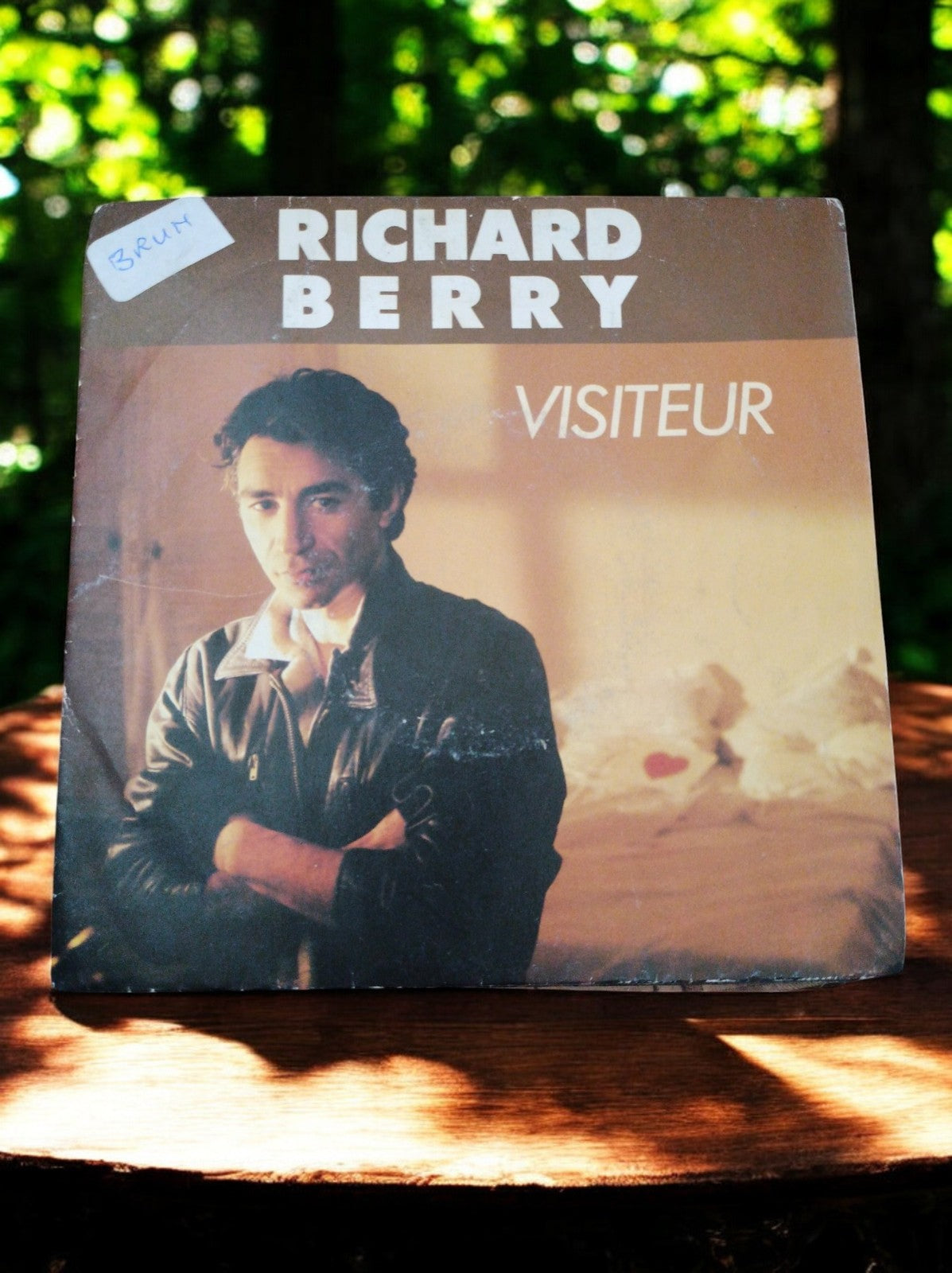 Vinyle 45 tours RICHARD BERRY Visiteur pochette brun vintage chanson française