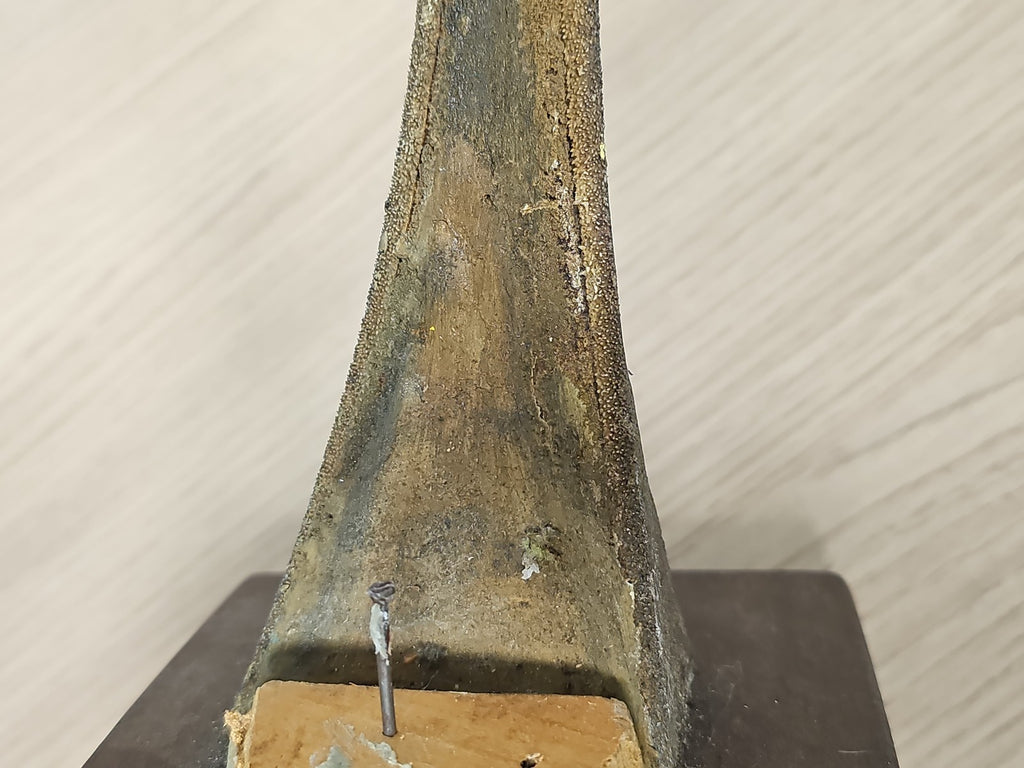Pointe d?espadon naturalisée vintage sur plaque bois, taxidermie ancien déco