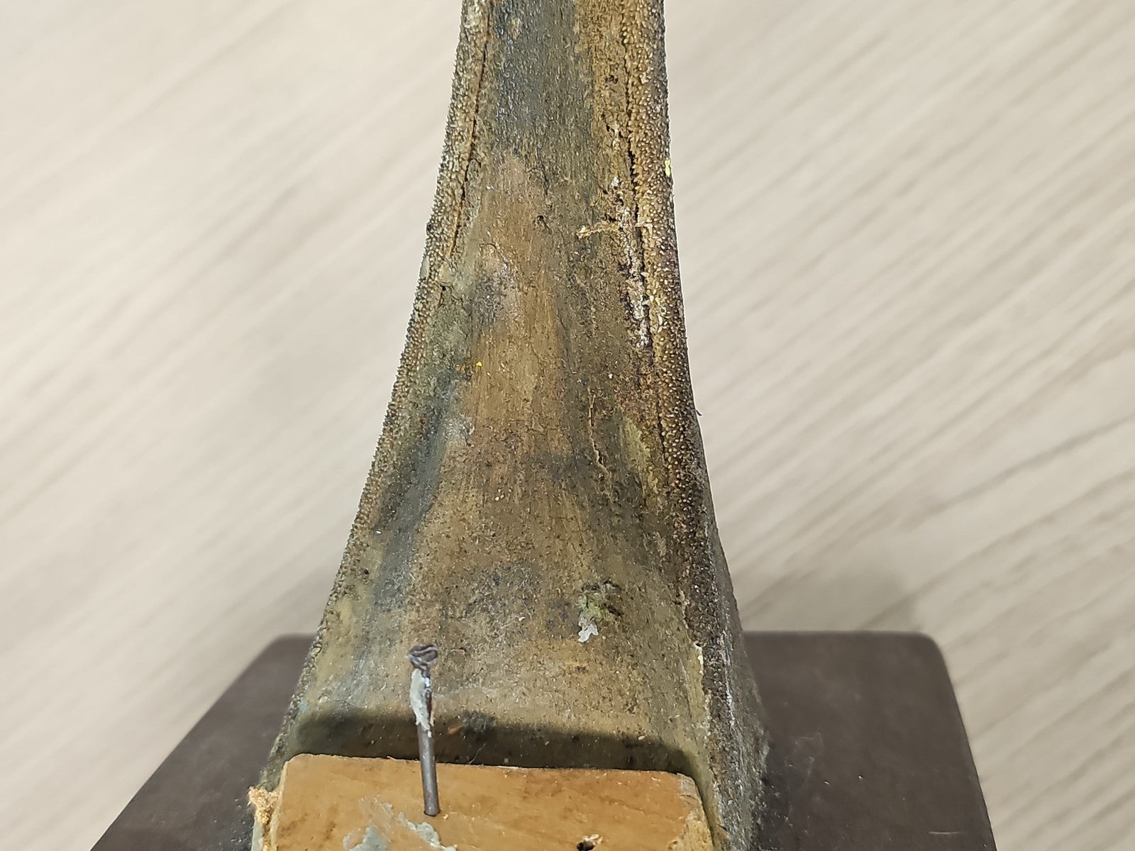 Pointe d?espadon naturalisée vintage sur plaque bois, taxidermie ancien déco
