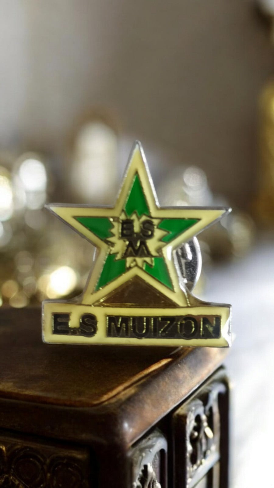 Pin's Vintage ES Muizon - Collection Rétro