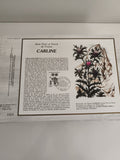 Feuillet CEF Série Flore et Faune Carline illustré timbre oblitéré