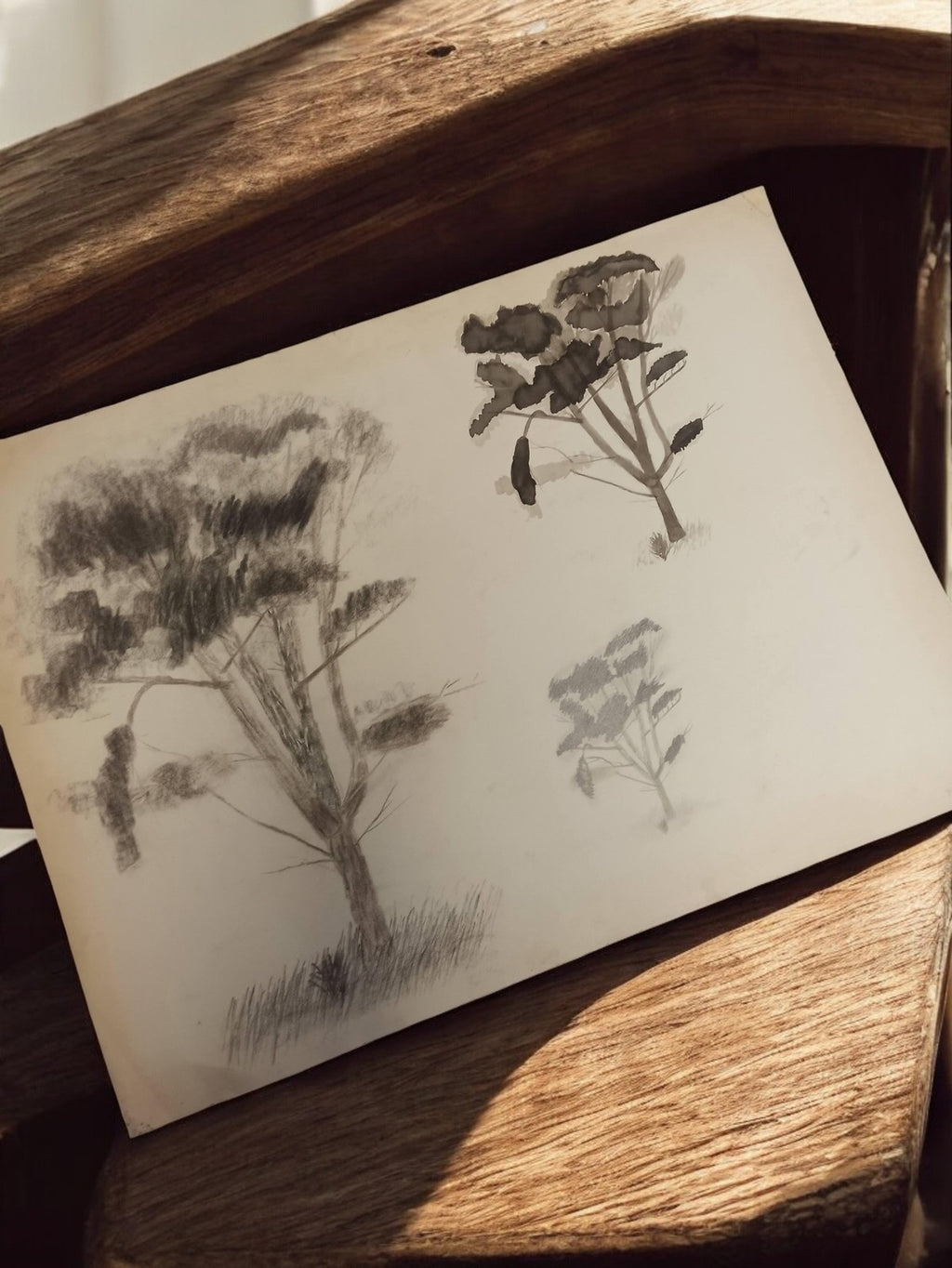 Dessin ancien arbres signé Philippon, étude vintage paysage déco murale