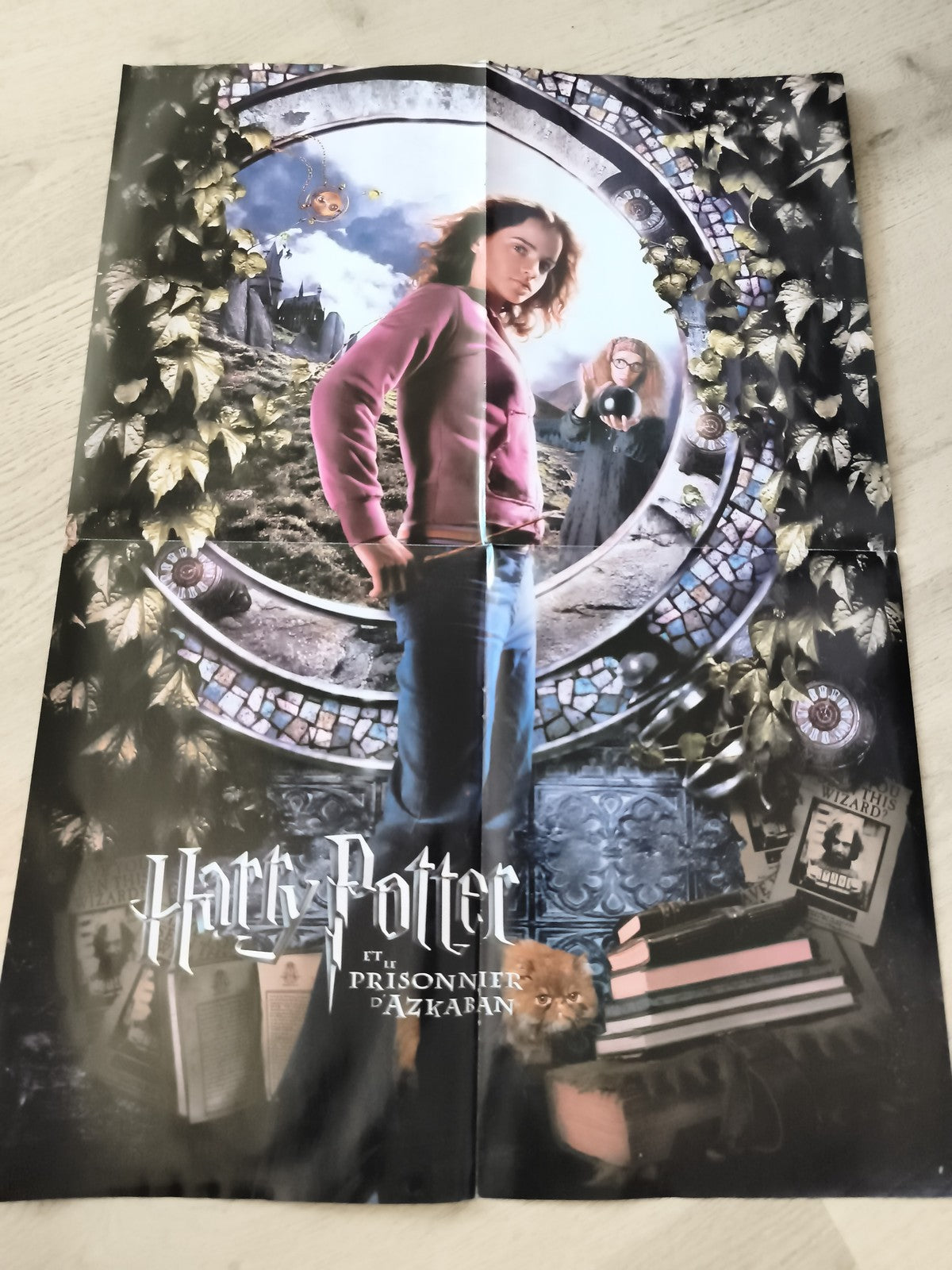 Poster Harry Potter Prisonnier d’Azkaban Hermione film cinéma déco murale