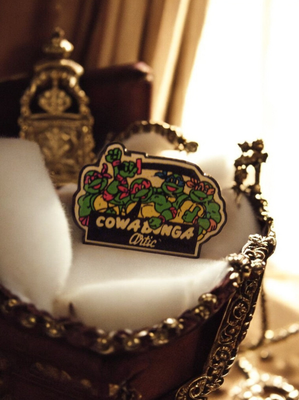 Pin's Tortues Ninja vintage années 90 Cowabunga TMNT rétro Artic