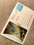 Carte postale Orange River Afrique du Sud Poskaart timbre oiseau philatélie (Ref