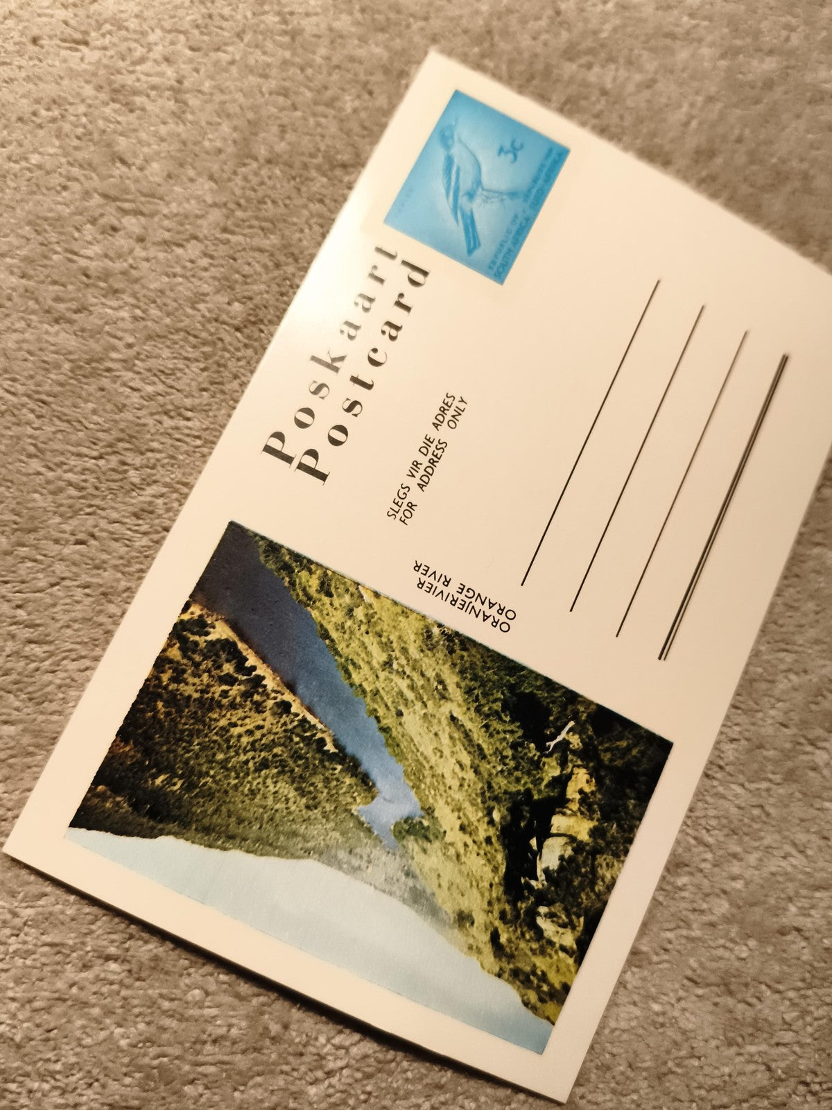 Carte postale Orange River Afrique du Sud Poskaart timbre oiseau philatélie (Ref