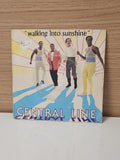Vinyle 45 tours rétro Central Line ancien disque single vintage collection musiq