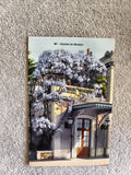 CPA Glycine de Monaco carte postale couleur architecture fleurs