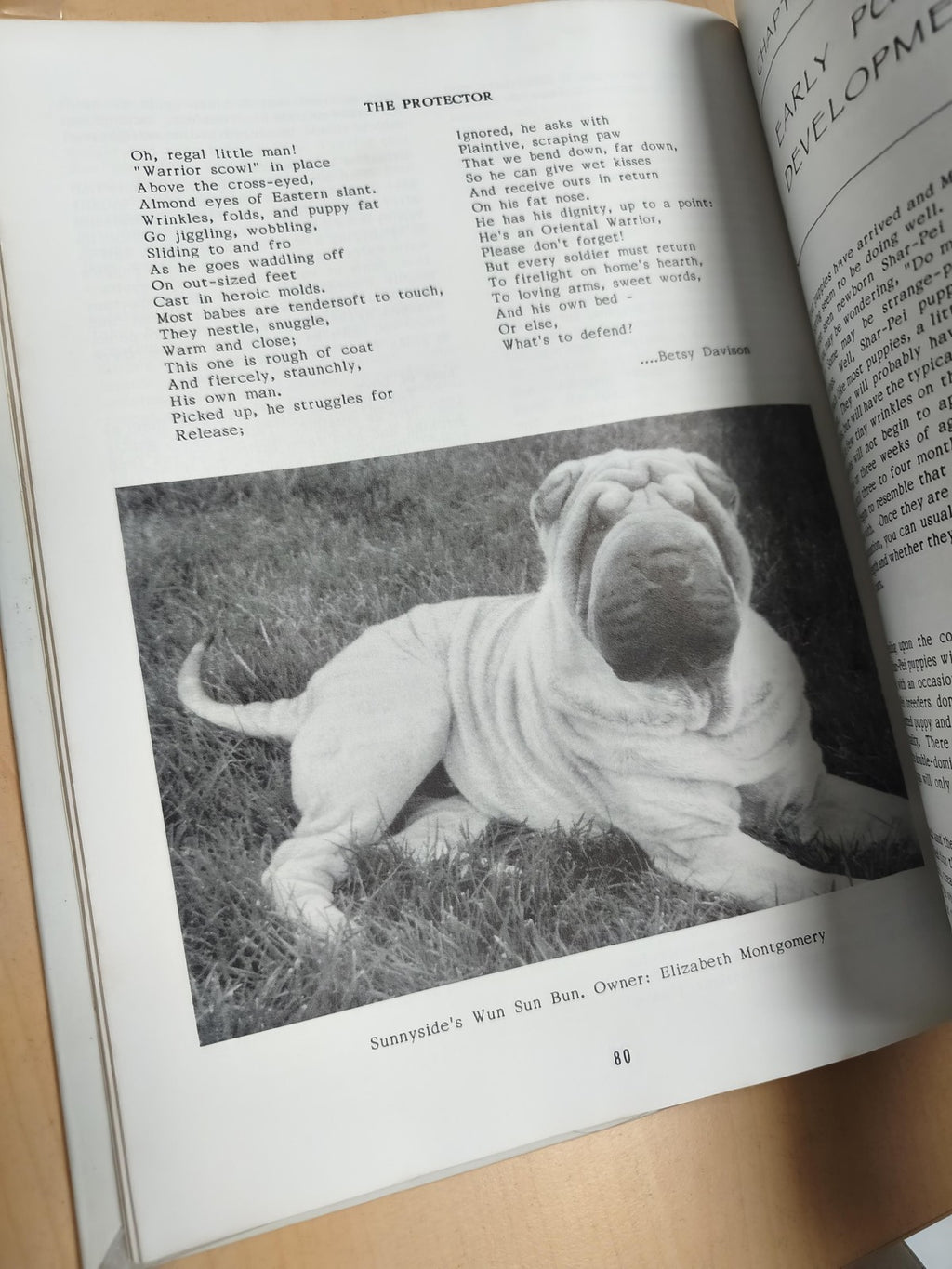 Livre rare vintage The Chinese Shar-Pei Puppy Book guide ancien chiens collectio