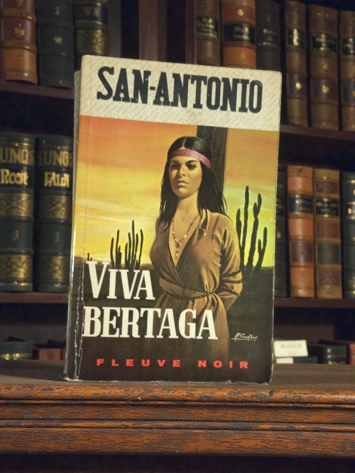 Livre San-Antonio Viva Bertaga Fleuve Noir vintage polar poche ancien rétro