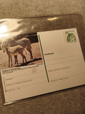 Carte postale affranchie zoo Nuremberg zèbres Grevy Allemagne philatélie (Ref 27