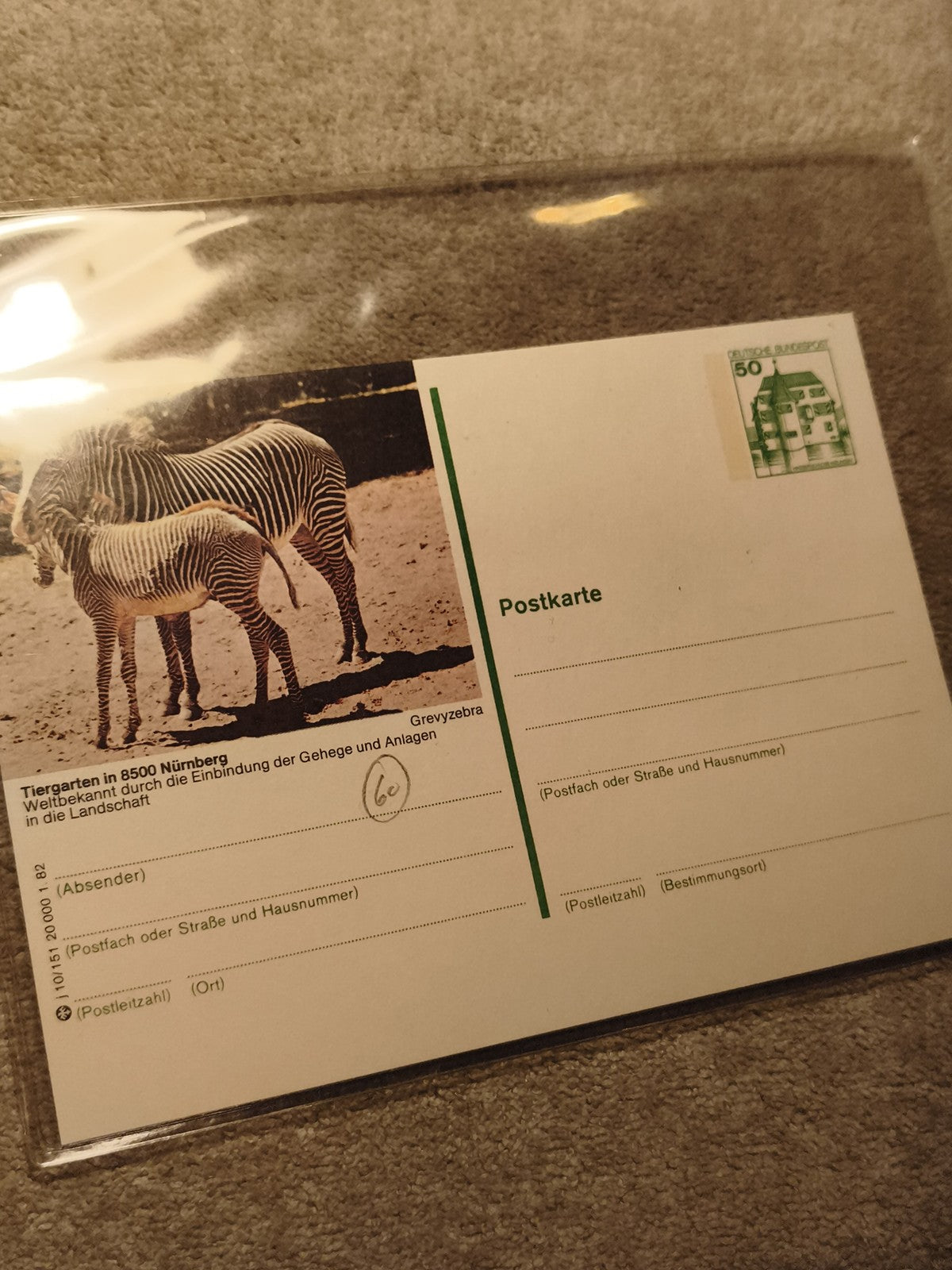 Carte postale affranchie zoo Nuremberg zèbres Grevy Allemagne philatélie (Ref 27