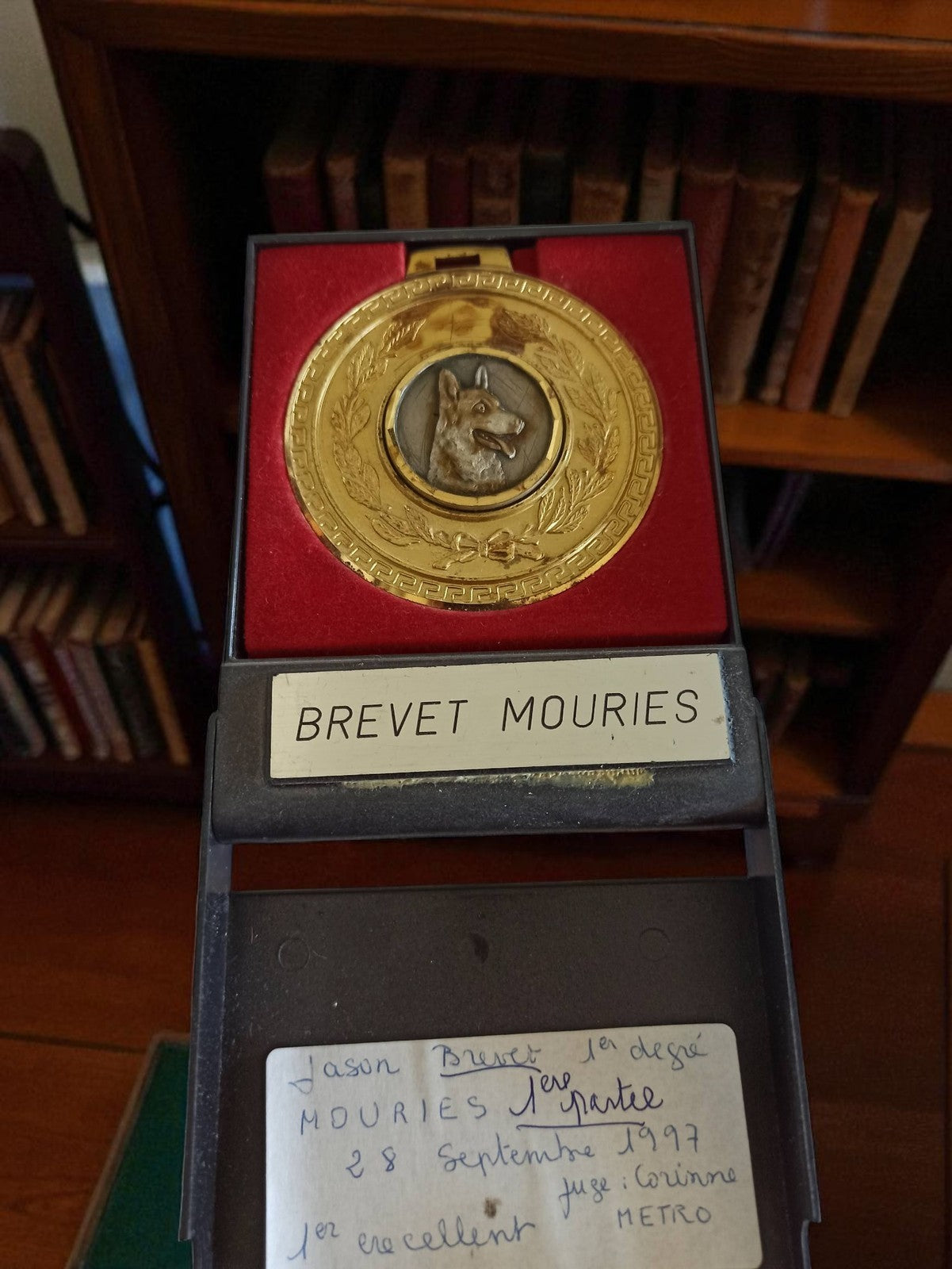 Médaille Brevet Mouries bronze doré chien vintage années 70 récompense rétro