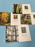 Lot de cartes postales timbrées Forêts arbres Liechtenstein paysages couleurs