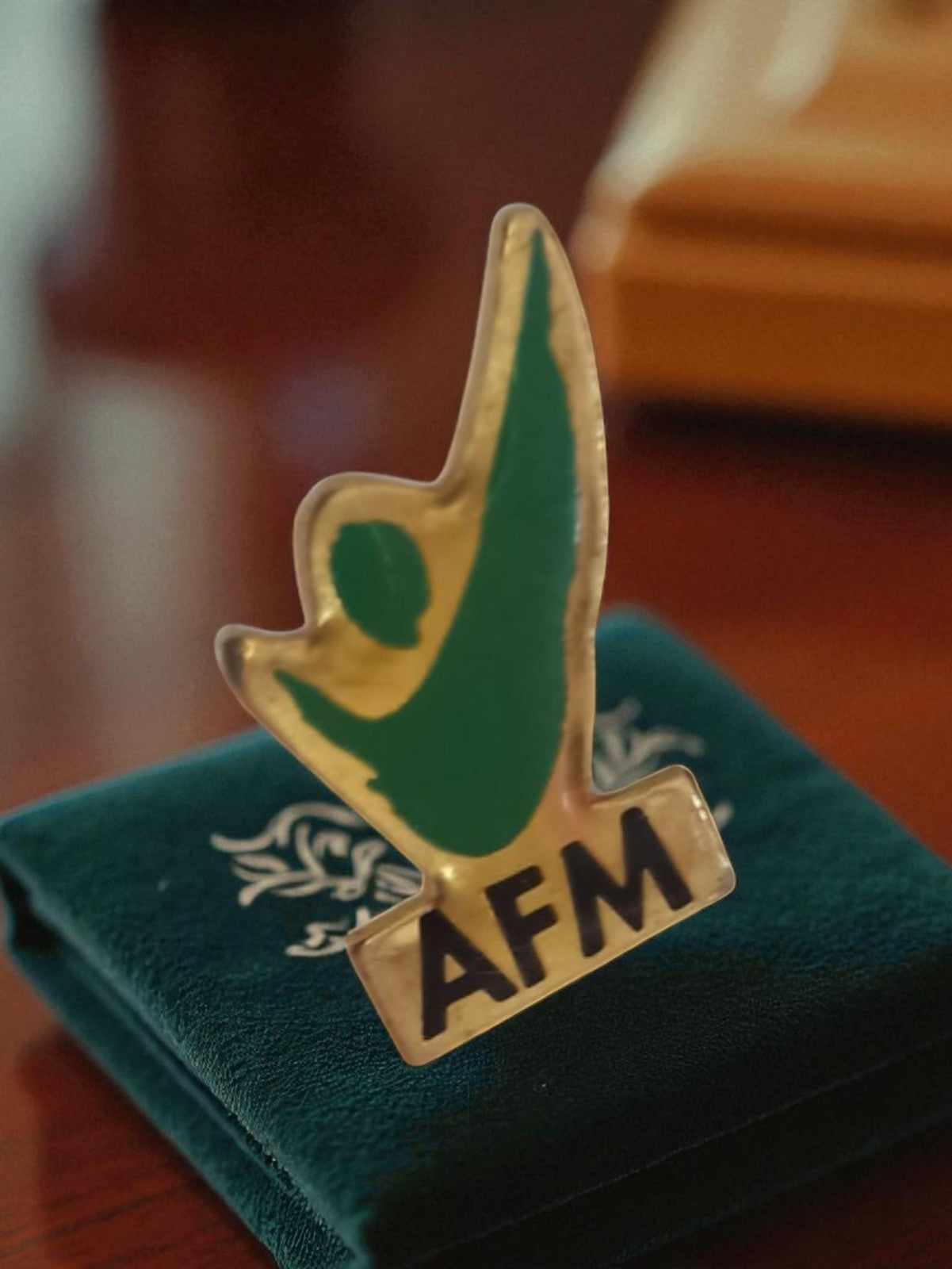Pin's publicitaire ancien AFM vintage badge rétro vert doré