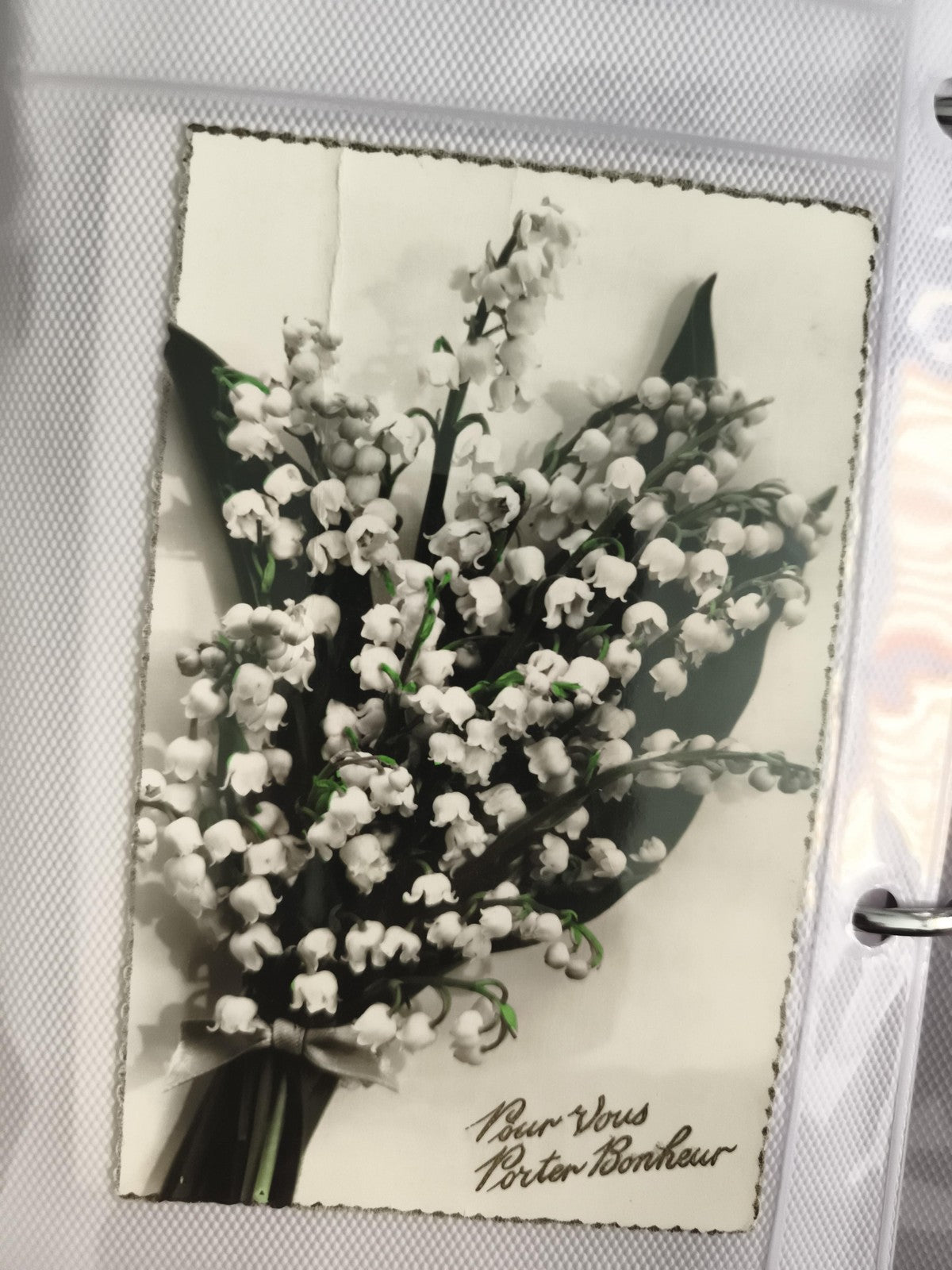 Carte postale ancienne muguet porte-bonheur noir et blanc rehaussée vintage