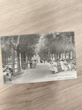 Carte postale ancienne ALLEVARD Parc de l?Établissement, scène animée, vintage