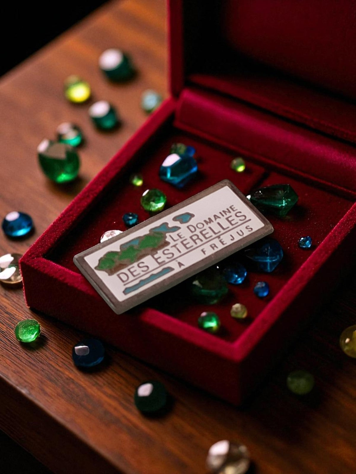 Pin's Le Domaine des Estérelles Fréjus vintage édition limitée, badge publicitai