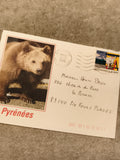 Carte postale ours Pyrénées oblitérée 1998 timbre La Poste philatélie (Ref 27)