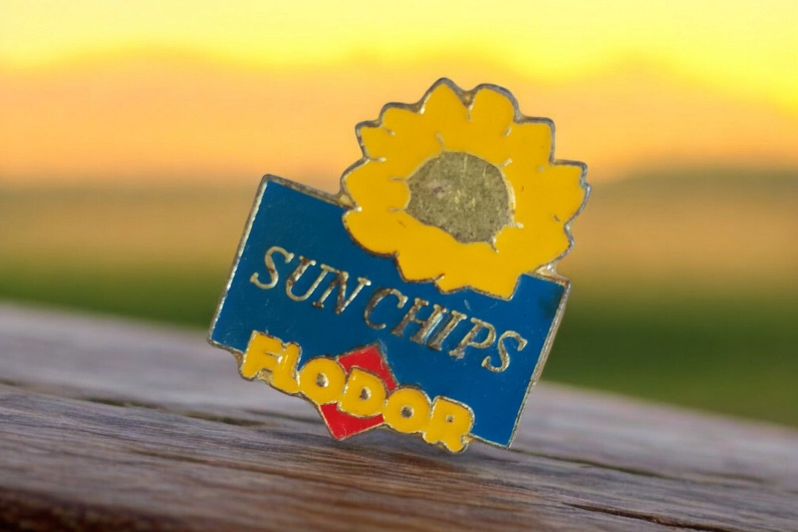 Pin's vintage Flodor Sun Chips tournesol rétro années 90 badge publicitaire