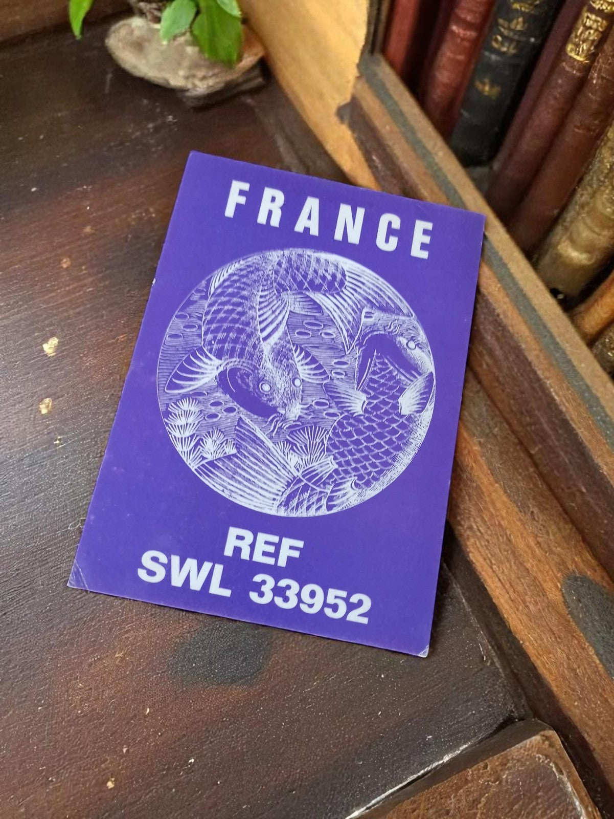 Carte QSL radio amateur vintage France SWL 33952 bleu motif poisson rare