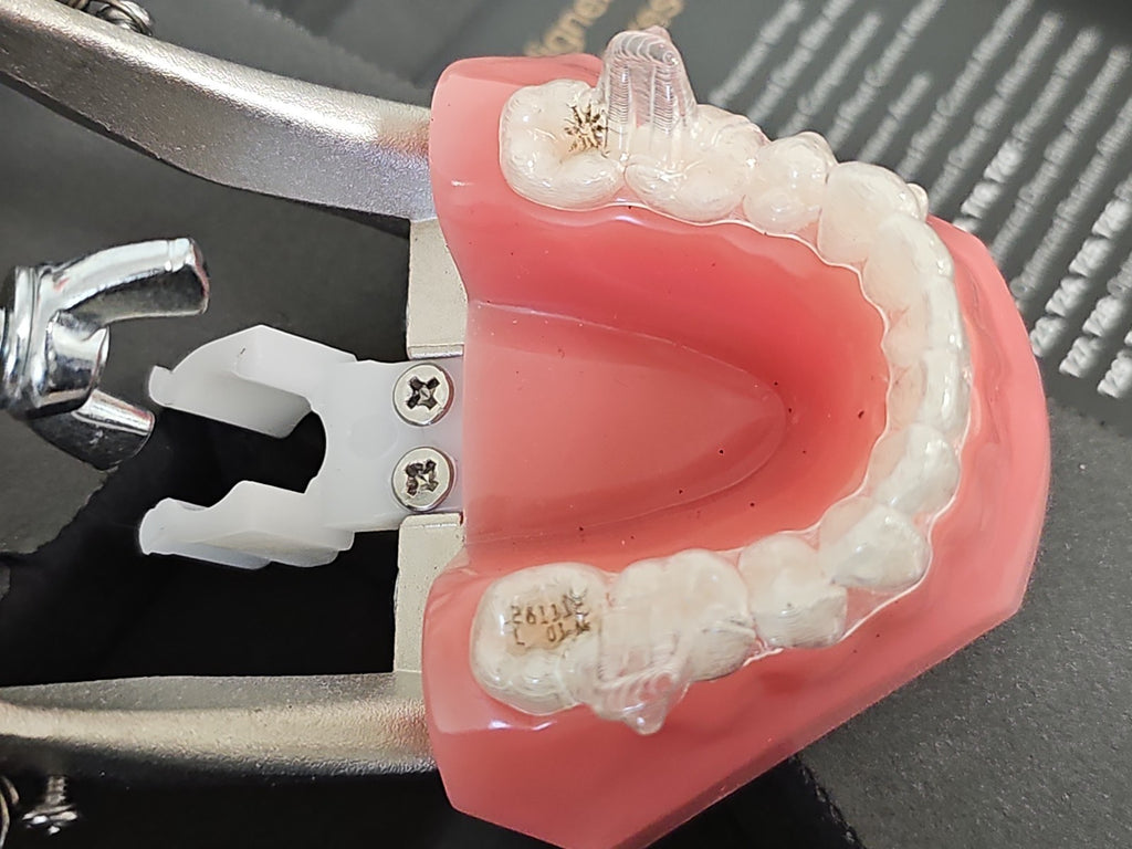 Modèle dentaire démonstration Invisalign écarteur joue typodont orthodontie