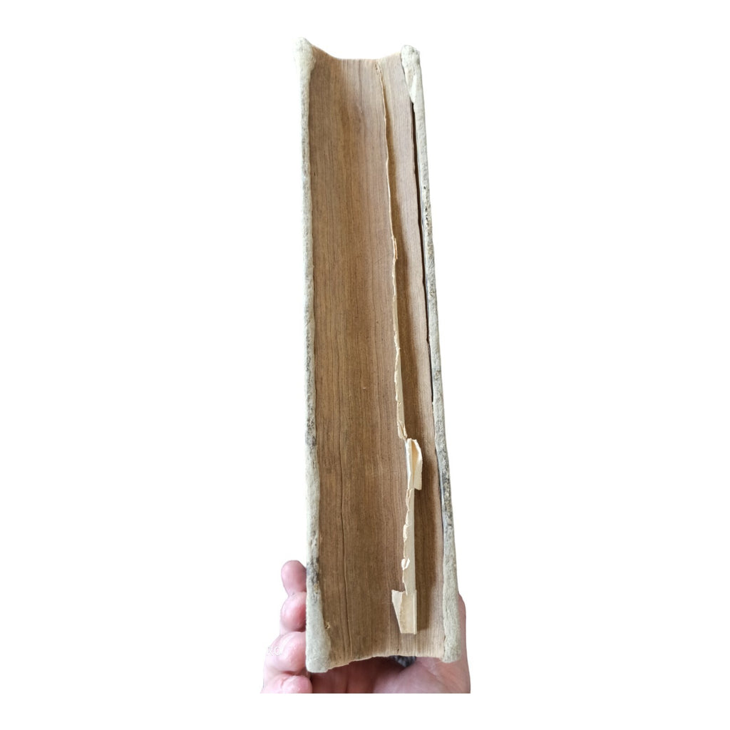 Livre ancien La Belle Arlésienne Maurice Jogand grand format relié XIXe