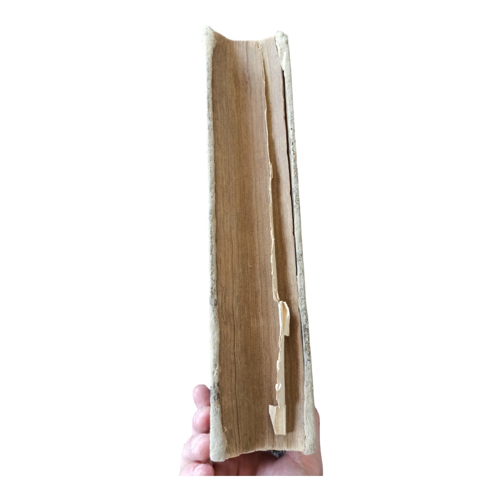 Livre ancien La Belle Arlésienne Maurice Jogand grand format relié XIXe