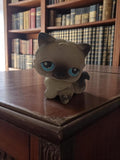 Figurine Petshop chat siamois vintage yeux bleus jouet ancien rare