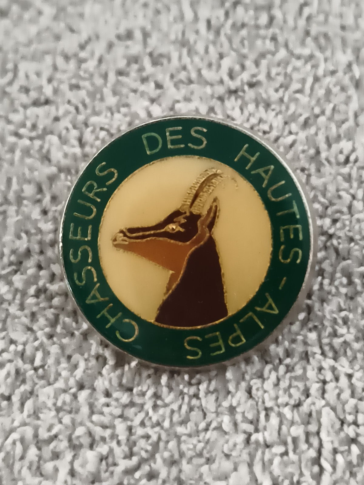 Pin's vintage Chasseurs des Hautes-Alpes émaillé rond vert doré badge ancien (Re
