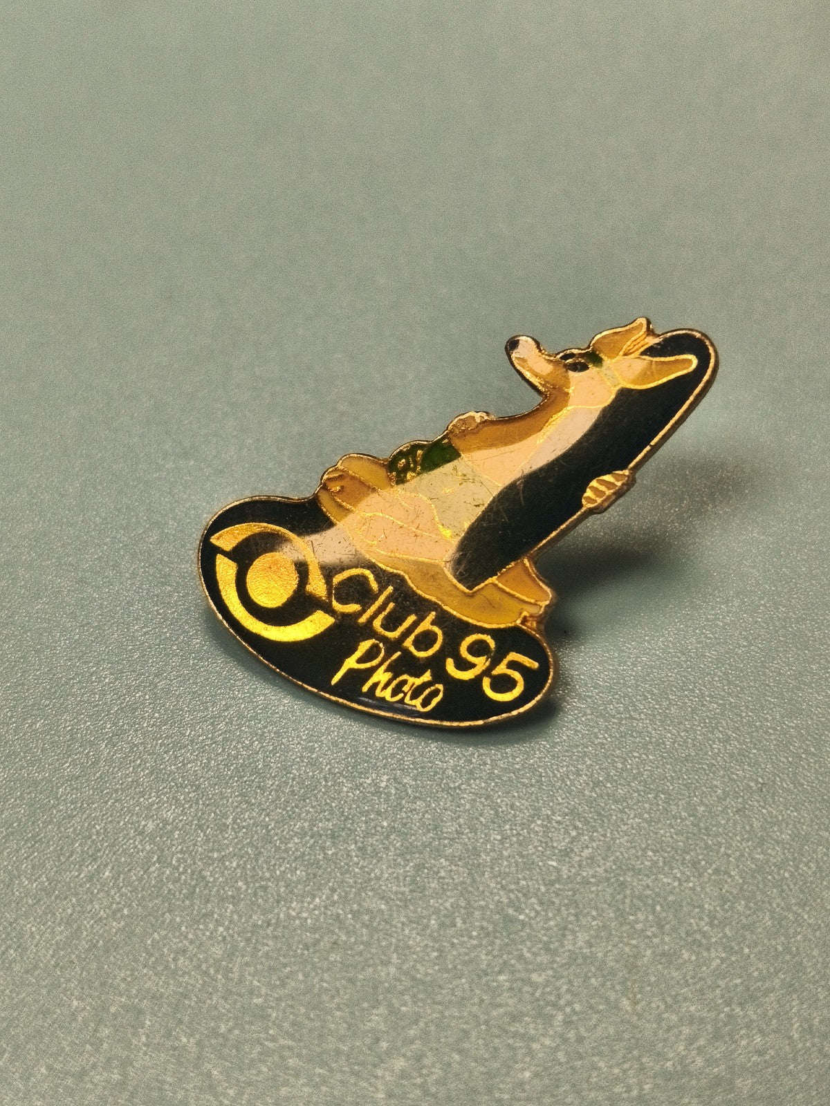 Vintage pin's Club 95 Photo émaillé, motif animal, collection photo rétro