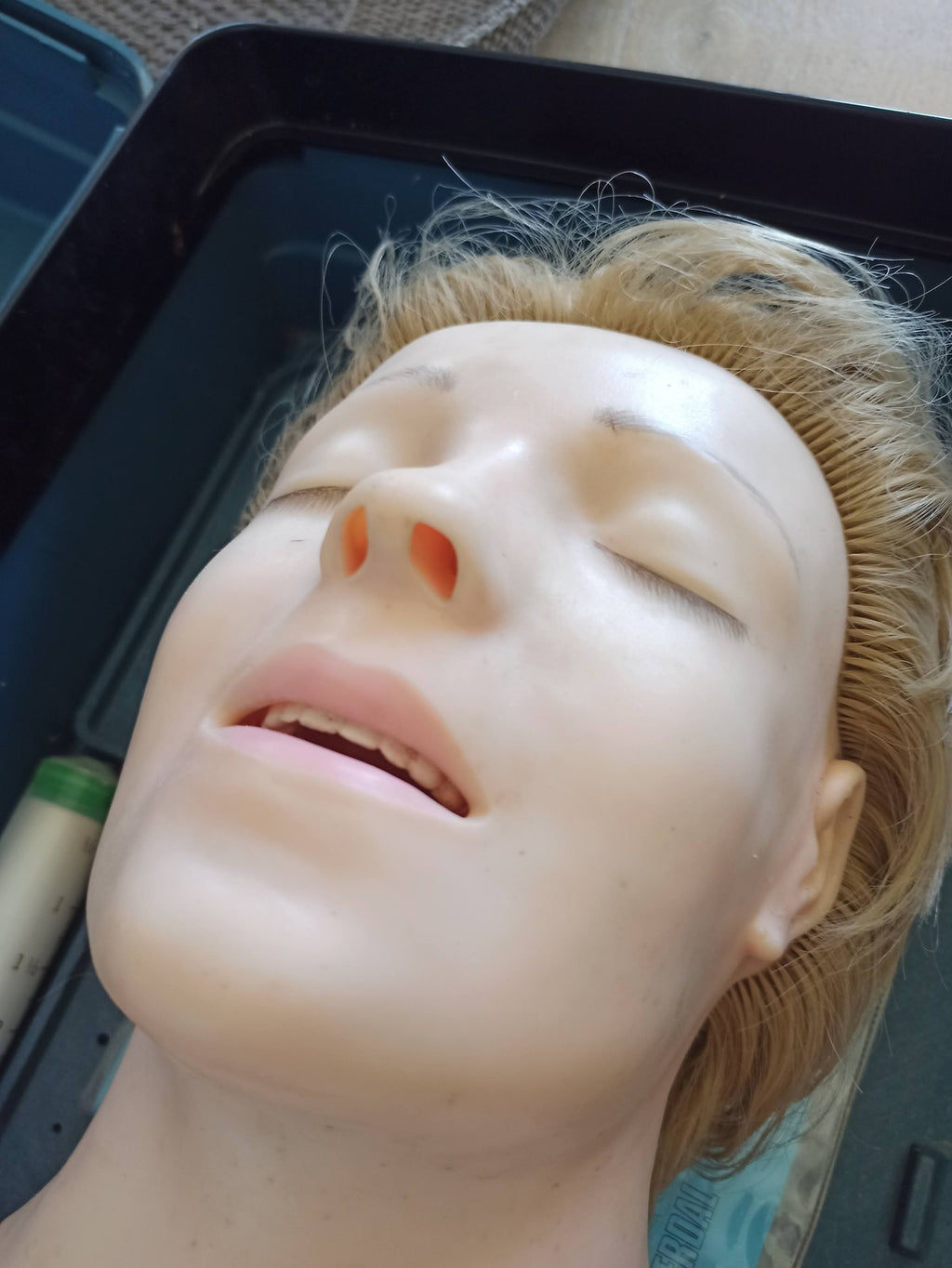 Mannequin anatomique Asmund S. Laerdal Anatomic Anne formation médicale