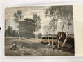 Carte postale ancienne paysage arbres bouleaux effet photo colorisée CPA