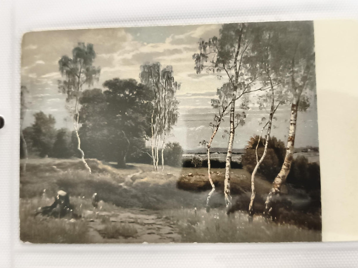 Carte postale ancienne paysage arbres bouleaux effet photo colorisée CPA