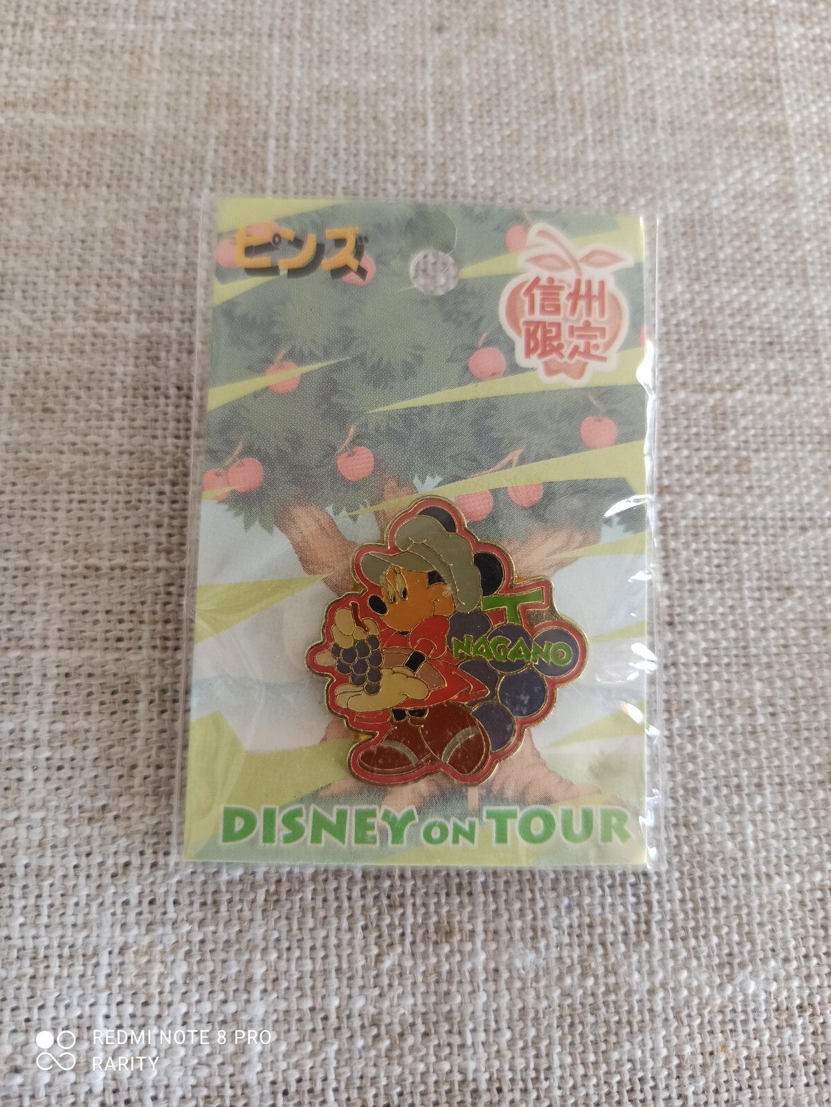 Pin's Disney on Tour Tokyo Disneyland Mickey Nagano Japon badge émaillé