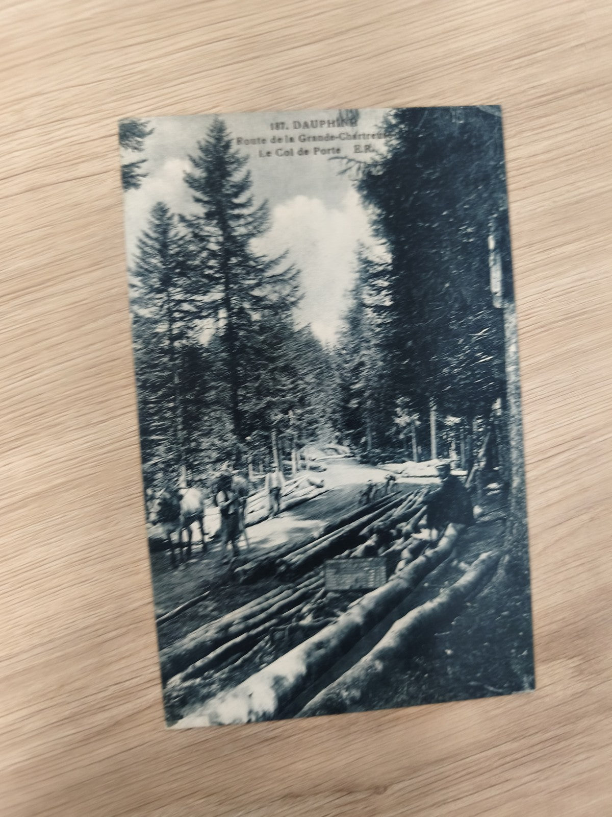 Ancienne carte postale CPA Dauphiné Col de Porte forêt chevaux sapins