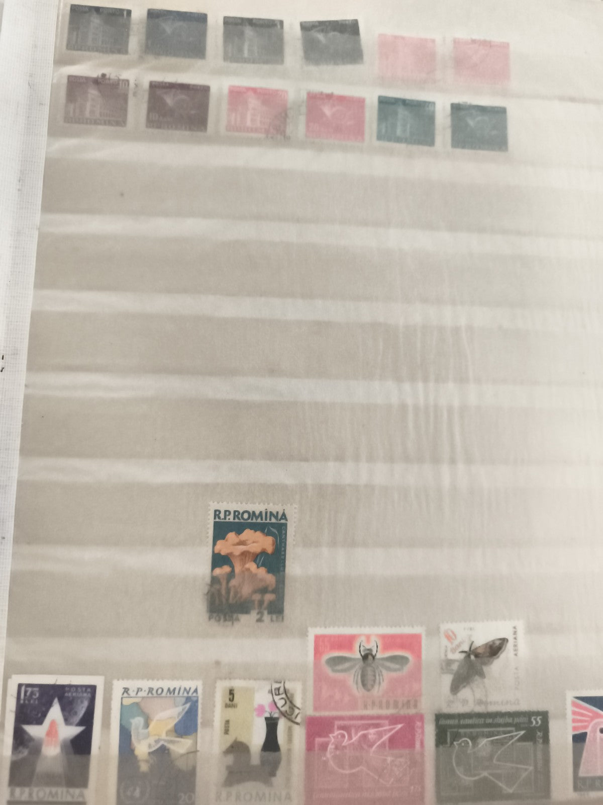 Timbres anciens Europe de l’Est R.P. ROMINA oiseaux insectes fleurs philatélie