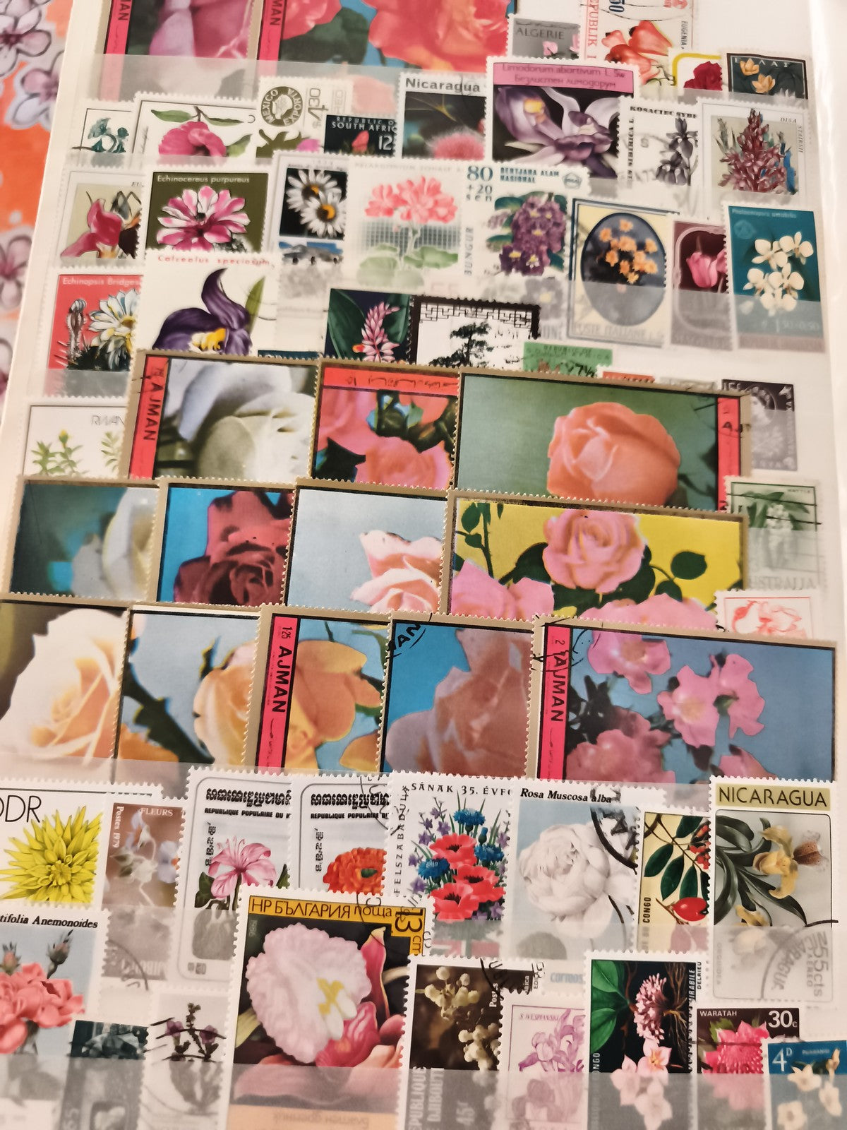 Timbres fleurs du monde lot thématique philatélie botanique floral