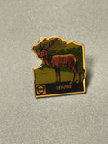 Vintage pin's FINA cerf Centre émaillé collection régionale (Ref 6)